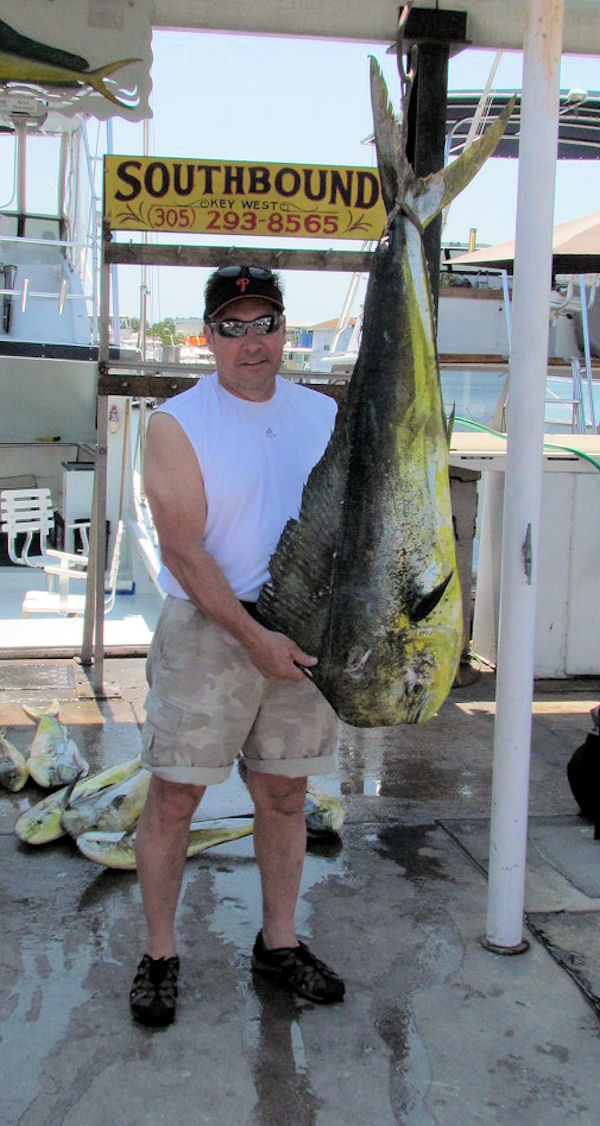 38 lb. Dolphin caught fishing Key West on charter boat Southbound from Charter Boat Row Key West