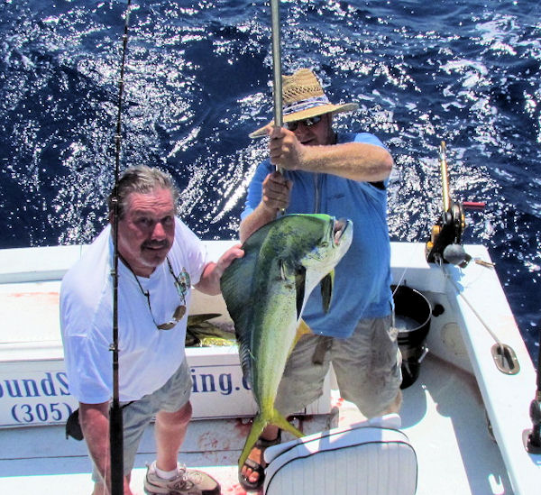 24lb Dolphin caught fishing Key West on charter boat Southbound from Charter Boat Row Key West