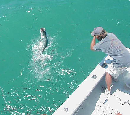 Tarpon jumping when caught aboard Southbound in Key West Florida in 2004
