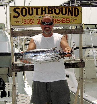 Skip Jack Tuna caught fishing on Charter Boat Southbound  in Key West Florida