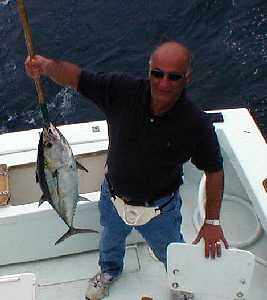 Blackfin Tuna caught in Key West Florida