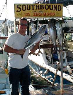 Blackfin Tunas at the dock in Key West