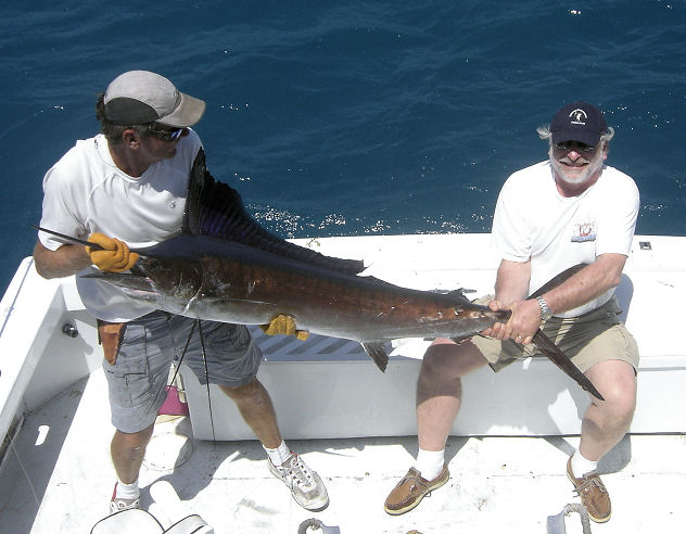 Sailfish caught and released while in Key West fishing on Charter Boat Southbound from Charter Boat Row Key Wes