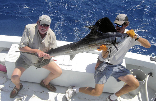 Sailfish caught and released while in Key West fishing on Charter Boat Southbound from Charter Boat Row Key West