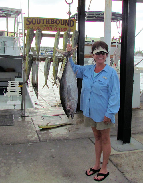 Tuna caught fishing in Key West on Charter Boat Southbound from Charter Boat Row Key West