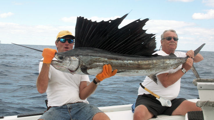 Sailfish caught and released fishing Key West on charter boat Southbound