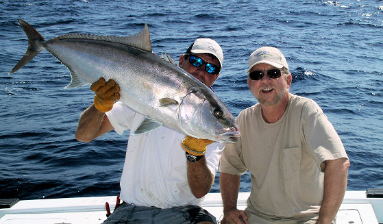 Amberjack caught and released fishing in Key West Florida on charter boat Southbound