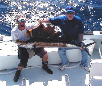 sailfish caught aboard Southbound in Key West Florida in 2004