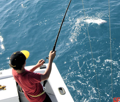 King Mackerel being  caught deep sea fishing on Key West Charter fishing boat Southbound from Charter Boat Row, Key West