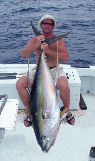 Yellowfin Tuna off Key West