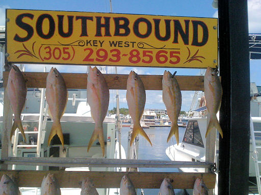 Yellow Tail Snapper caught on Key West charter fishing boat Southbound