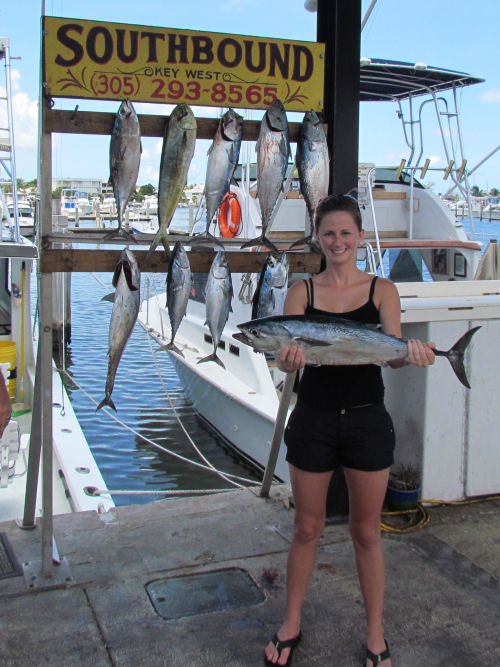 bonito caught in Key West fishing on charter boat Southbound