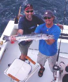 Key West Barracuda