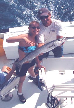 Barracuda off Key West Florida