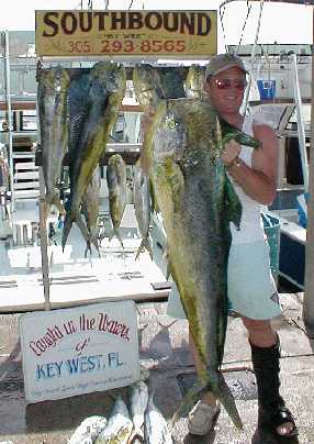 42 lb. Dolphin from Key West, Florida