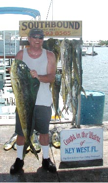 24 lb dolphin on 20 lb tackle off Key West Florida