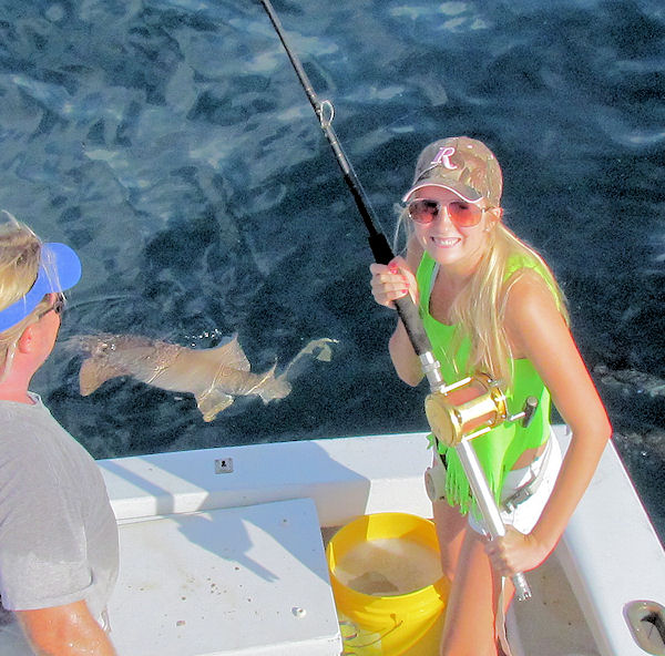 shark  caught and released in Key West fishing on charter boat Southbound from Charter Boat Row