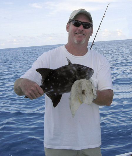 Ocean Tally caught and released on charter boat Southbound from Key West Florida