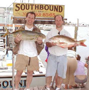 Barjack and Mutton Snapper in Key West, Florida