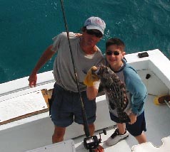 Key West Black grouper
