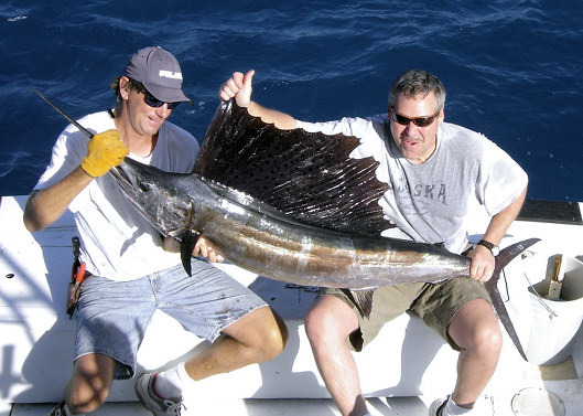 Sailfish caught fishing aboard charter boat Southbound in Key West, Florida