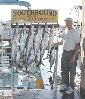 Nice catch of Kingfish in Key West, Florida