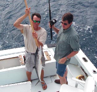 kingfish caught off Key West