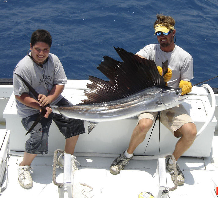 Sailfish caught aboard Southbound in Key West Florida in 2005