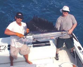 A quick picture an then the Sailfish is relased in Key West