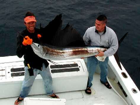 Sailfish caught aboard Southbound in Key West Florida in 2003