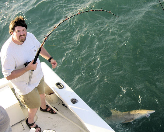 Lemon shark caught fishing on Key West charter boat Southbound from Charter Boat Row