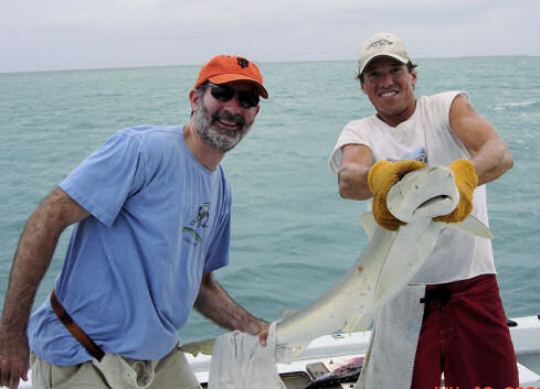 Shark caught aboard Southbound in Key West Florida in 2006