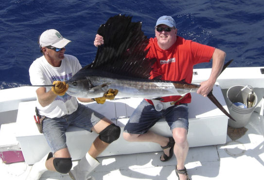 Sailfish caught on Key West deep sea fishing boat Southbound from Charter Boat Row Key West, Florida