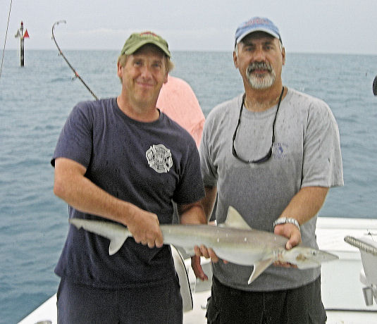Small Shark caught in Key West Fishing on charter boat Southbound from Charter Boat Row, Key West