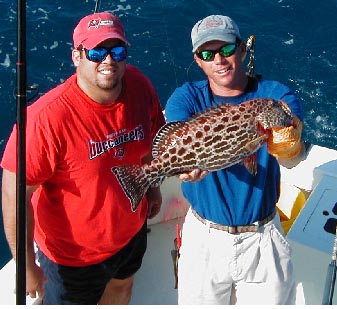 Key West  yellowfin grouper