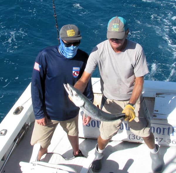 Big Barracuda caught and released in Key West on charter fishing trip with Southbound Sportfishing
