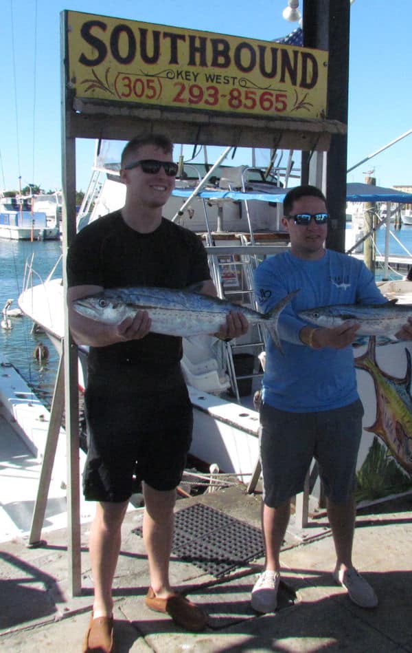 Cero Mackerel are excellent eating and fun to catch on Key West charter fishing trips